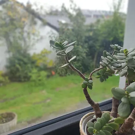 In Ruhrgebiet Apartment *