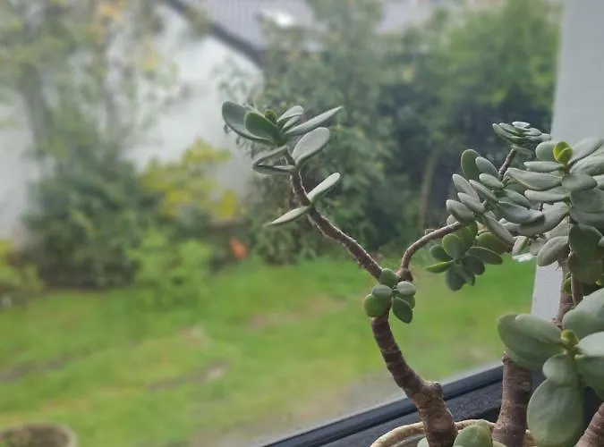 In Ruhrgebiet Appartement *